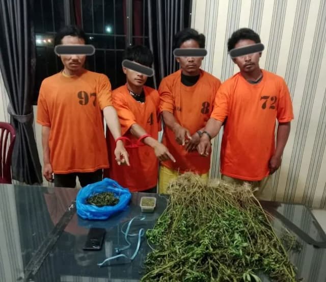 empat_anak_kos_tanam_ganja_di_hutan_lindung_karo