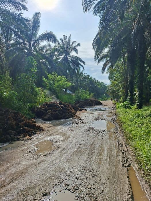 jalan_provinsi_di_padang_lawas_rusak_parah_warga_keluhkan_dampak_ekonomi