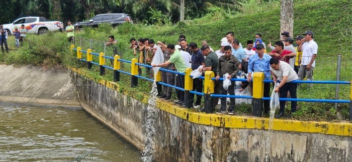 bupati_tapsel_lepas_6000_benih_ikan_air_tawar_di_bendungan_irigasi_batang_angkola
