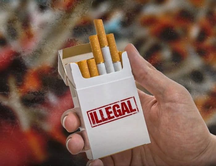 bea_cukai_gagalkan_pengiriman_14_juta_batang_rokok_ilegal_di_bali