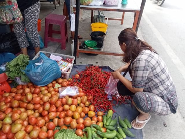harga_cabai_merah_keriting_stabil_sementara_tomat_melambung_di_balige