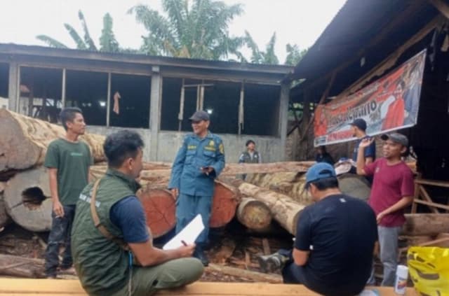 kemenhut_segel_lima_industri_pengolahan_kayu_diduga_ilegal_logging_di_asahan