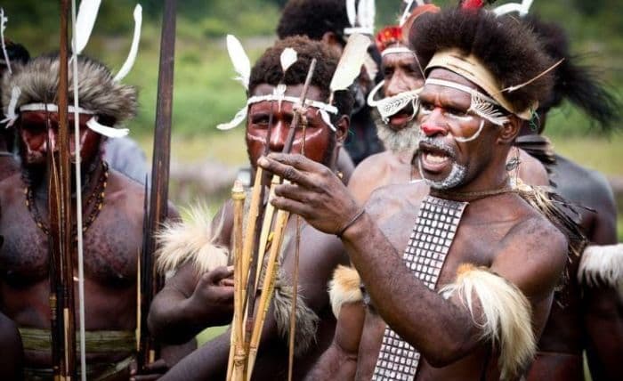 pakar_kritik_proyek_pangan_di_papua_jangan_paksa_warga_tinggalkan_sagu