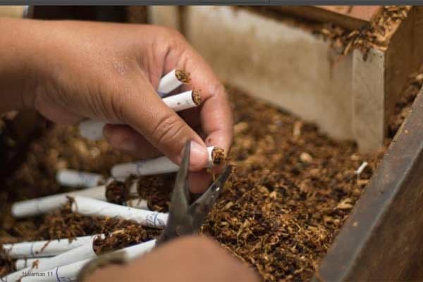 pemerintah_perluas_pemanfaatan_pajak_rokok_untuk_pemberantasan_rokok_ilegal