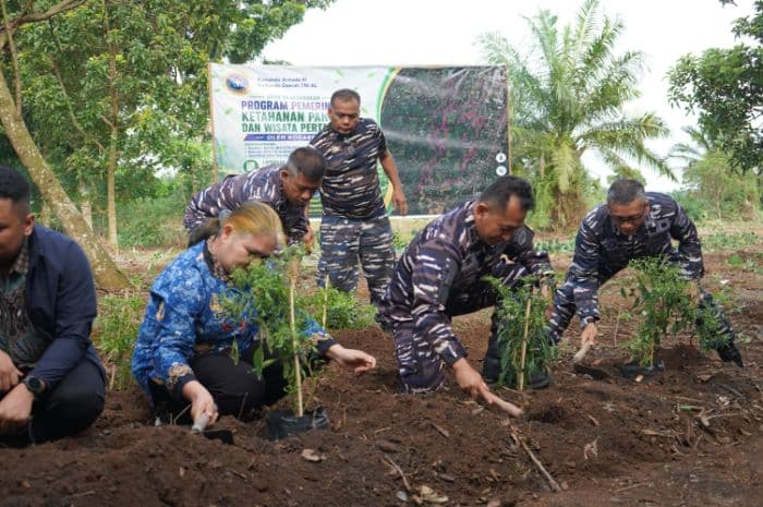 pemanfaatan_lahan_270_hektar_di_medan_senembah_fokus_tanam_kedelai_cabai_dan_singkong