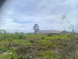 pemkab_taput_jika_terbit_shm_di_kawasan_hutan_register_42_sijaba_bisa_masuk_ranah_pidana