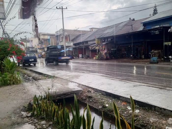 sebulan_menunggu_petani_di_porsea_bersyukur_hujan_turun_menyirami_tanaman_