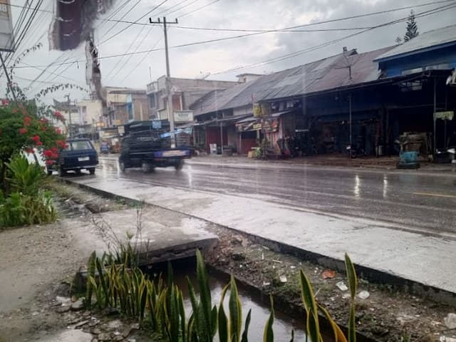 sebulan_menunggu_petani_di_porsea_bersyukur_hujan_turun_menyirami_tanaman_