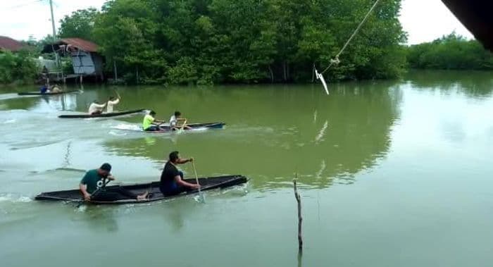 lomba_sampan_meriahkan_hut_ke80_ri_di_kawasan_mangrove_langkat_dimulai_besok
