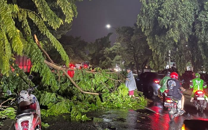 hujan_deras_disertai_angin_kencang_sejumlah_pohon_di_jalan_tritura_medan_tumbang