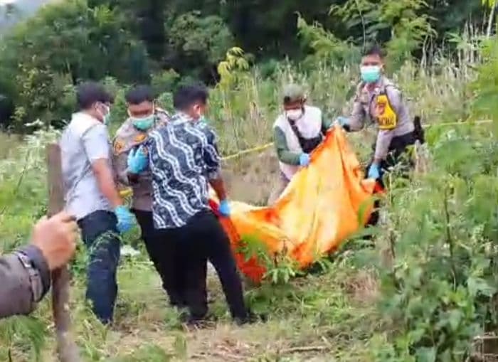sepekan_tak_terlihat_pria_67_tahun_di_dairi_ditemukan_meninggal_di_ladang