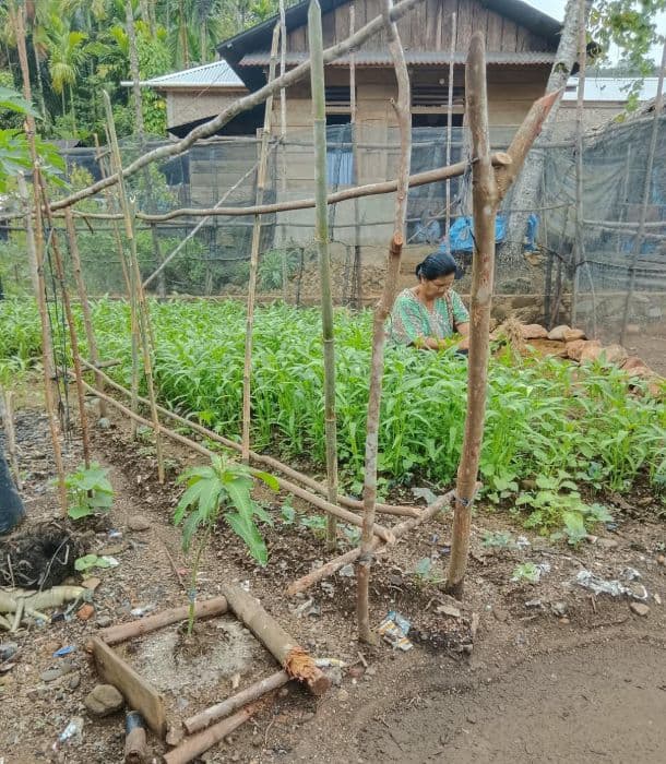 sawah_masih_tertimbun_lumpur_permampu_desak_percepatan_pemulihan_pangan_di_sumatra