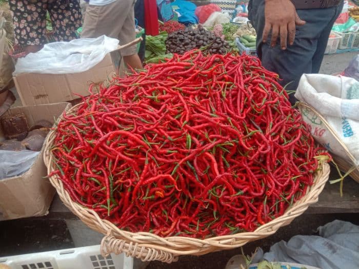 harga_cabai_merah_turun_andaliman_bertahan_mahal_di_pasar_balige