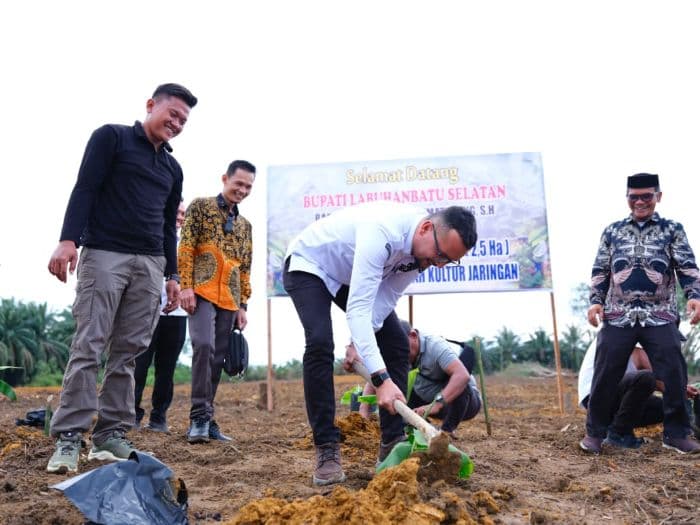 bupati_labusel_dorong_anak_muda_kelola_lahan_produktif_lewat_pertanian_pisang
