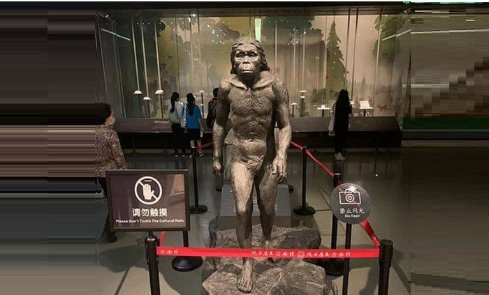 fosil_legendaris_java_man_akhirnya_dipamerkan_di_museum_nasional_ungkap_jejak_awal_manusia_nusantara