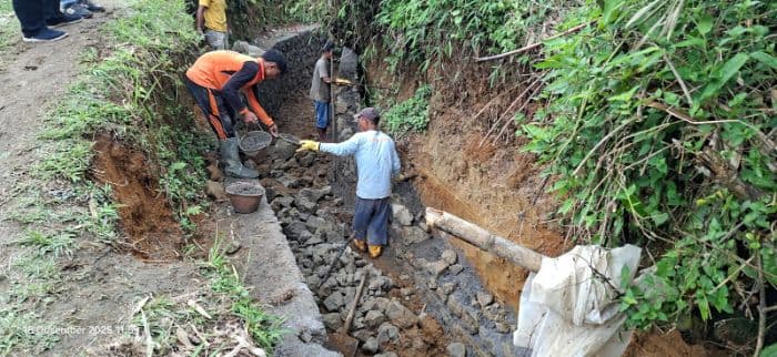 ratusan_hektar_lahan_sawah_di_dairi_gagal_tanam_padi_gegara_proyek_daerah_irigasi