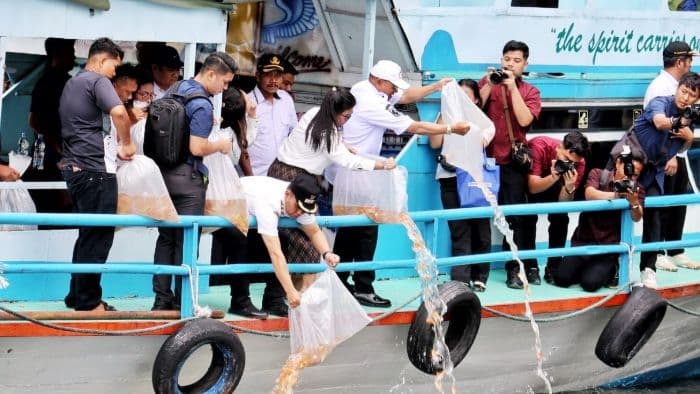 restocking_ikan_di_danau_toba_pemkab_simalungun_tekan_populasi_red_devil