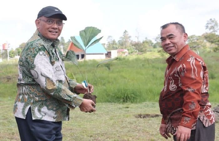 47_plt_kepala_sekolah_di_dairi_belum_definitif_bkpsdm_desak_disdik_segera_lakukan_seleksi