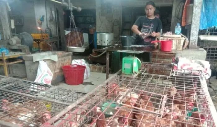awal_ramadan_harga_daging_di_toba_masih_tinggi_namun_stabil_