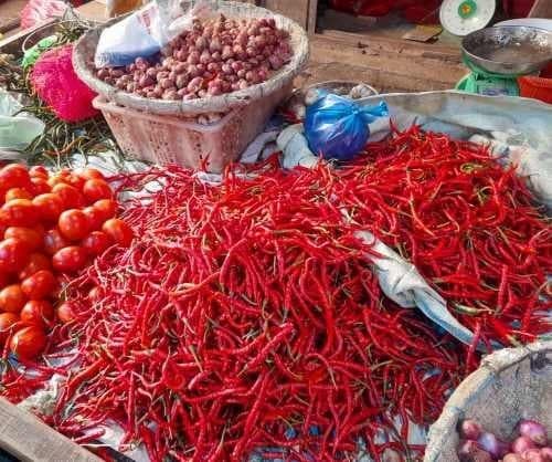 harga_cabai_turun_pematangsiantar_deflasi_011_persen_pada_januari_2026