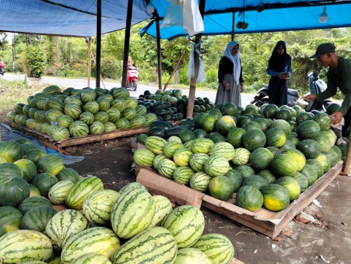 lapak_sayur_di_lubuk_pakam_dibobol_maling_40_kg_bawang_merah_raib