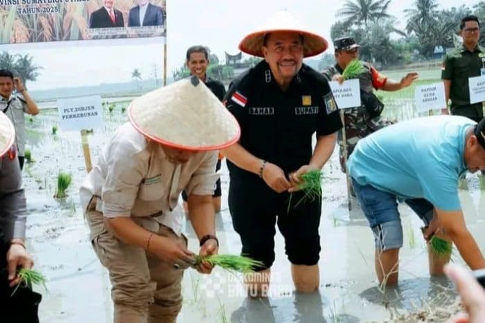 agar_gabah_berkualitas_petani_diimbau_panen_di_atas_90_hari