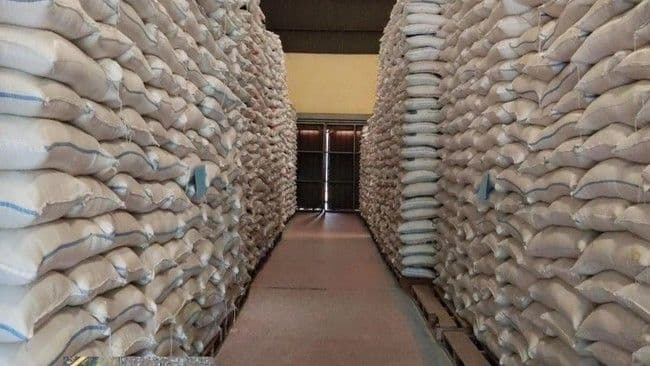 begini_cara_bulog_jaga_kualitas_beras_saat_lonjakan_penyerapan