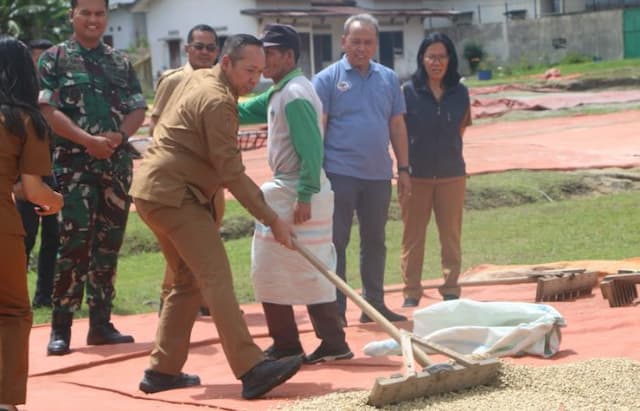 bupati_jonius_puji_perusahaan_pengolahan_kopi_di_taput_yang_mempekerjakan_penduduk_lokal_