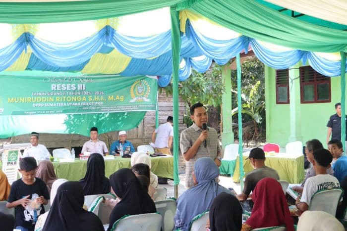 dari_400_hektare_sawah_hanya_30_persen_yang_produktif_di_padang_lawas