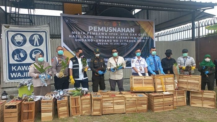 karantina_sumut_musnahkan_satwa_dan_tumbuhan_ilegal_senilai_rp381_miliar
