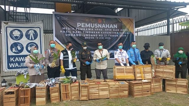 karantina_sumut_musnahkan_satwa_dan_tumbuhan_ilegal_senilai_rp381_miliar