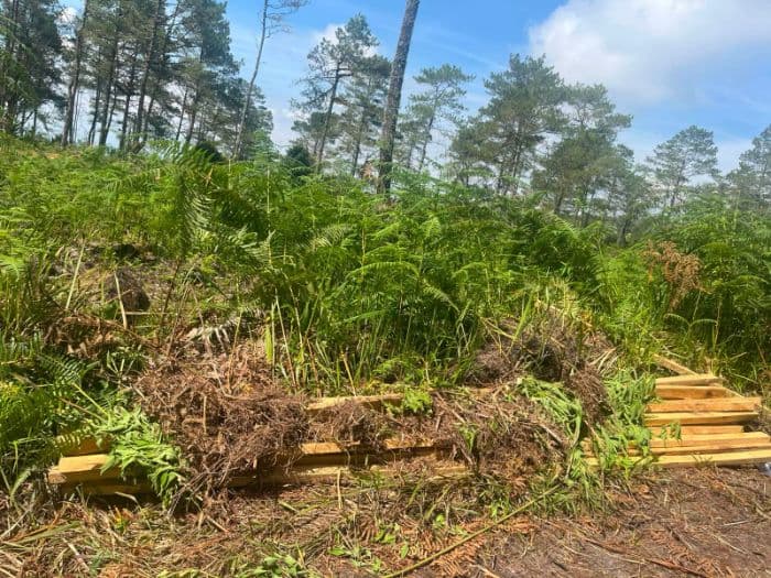 warga_minta_dugaan_illegal_logging_di_kawasan_wisata_toga_raja_segera_diselidiki
