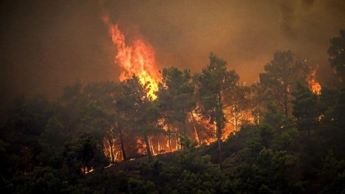 kebakaran_hutan_di_spanyol_api_sampai_ke_portugal