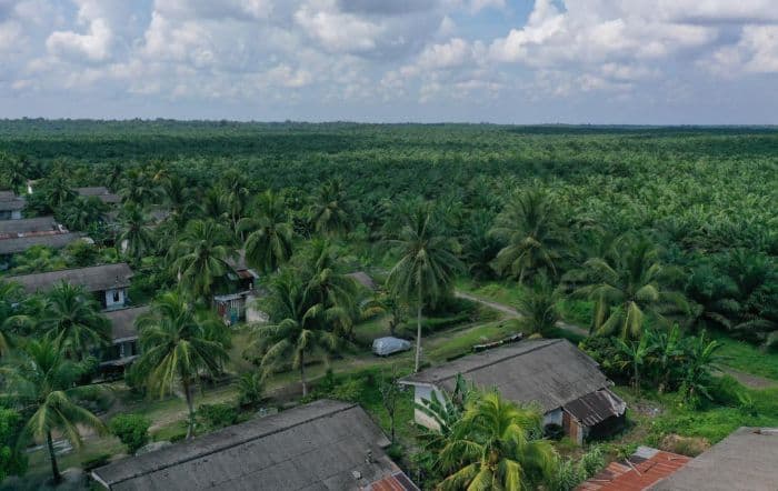 warga_di_asahan_klaim_1500_hektare_lahan_diserobot_perusahaan_sawit_sejak_2019