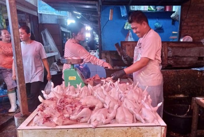 harga_ayam_naik_koperindag_siantar_minta_distributor_tambah_pasokan