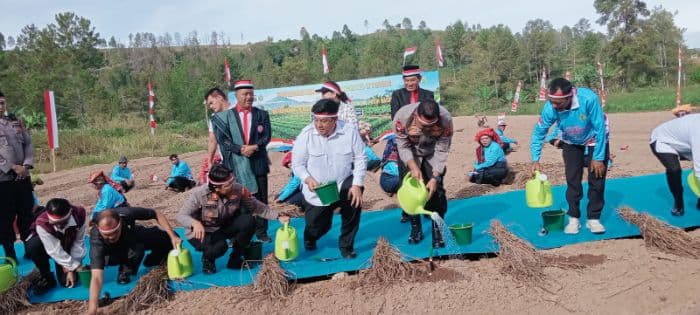 kapolda_sumut_tanam_bawang_putih_di_samosir_dukung_program_swasembada