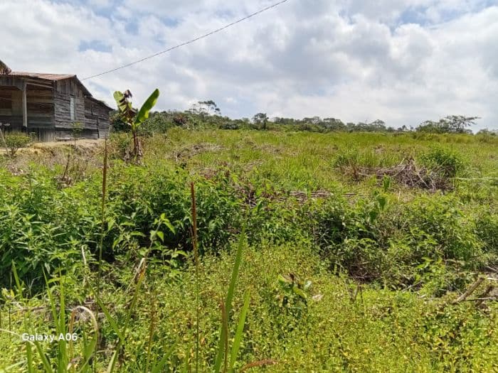 shm_disebut_terbit_di_aset_pemkab_bupati_taput_larang_camat_dan_kades_keluarkan_surat_tanah
