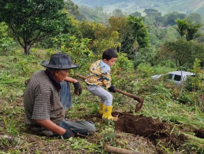 pusat_studi_geopark_indonesia_ajak_masyarakat_tanam_pohon_untuk_selamatkan_danau_toba
