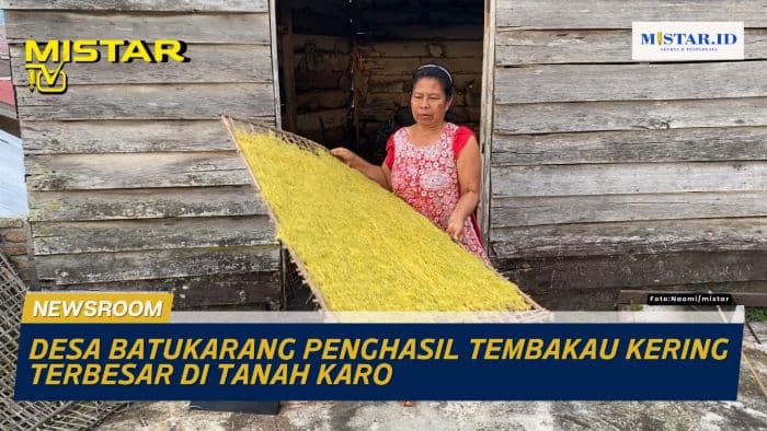 newsroom_desa_batukarang_penghasil_tembakau_kering_terbesar_di_tanah_karo