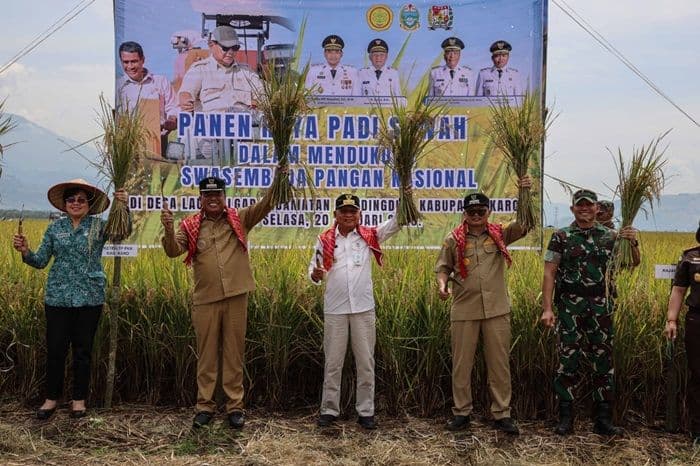 karo_jadi_motor_ketahanan_pangan_sumut_wagub_surya_dorong_panen_padi