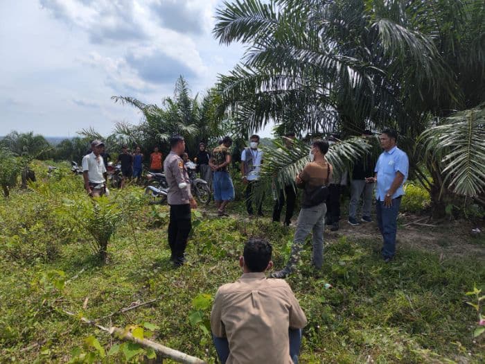 warga_temukan_mayat_pria_tanpa_identitas_di_perladangan_sawit_langkat