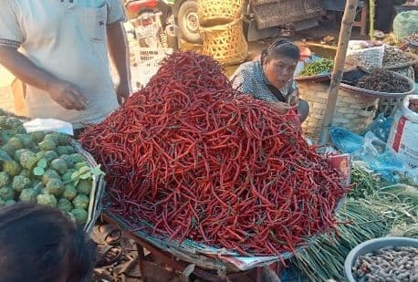 jelang_idul_fitri_harga_cabai_di_kabupaten_toba_menurun
