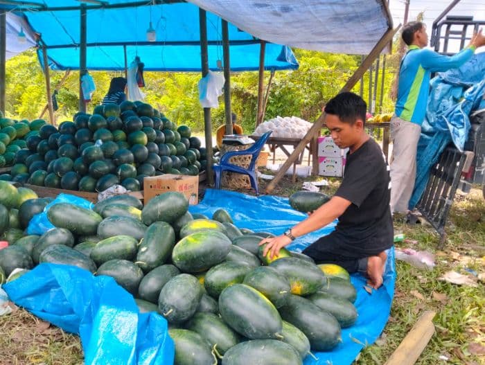 ramadan_1447_h_penjualan_semangka_di_lubuk_pakam_deli_serdang_meningkat_drastis