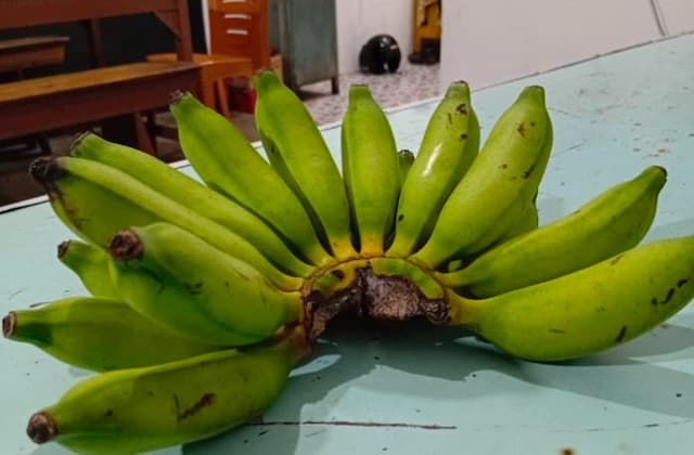 sppg_siborongborong_sajikan_pisang_belum_matang_dalam_program_mbg_orang_tua_siswa_protes_