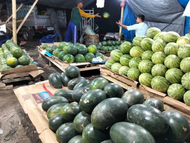 harga_semangka_naik_sppg_di_deli_serdang_beralih_buah_lain