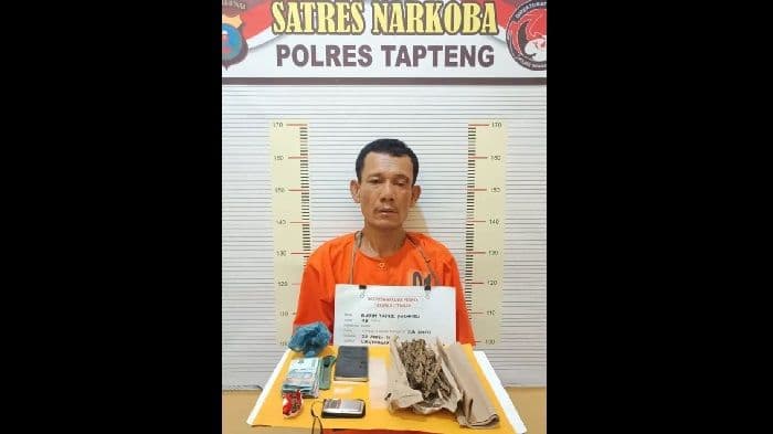 polisi_ringkus_pengedar_ganja_dan_sabu_di_tapteng_barang_bukti_disita_dari_rumah_tersangka
