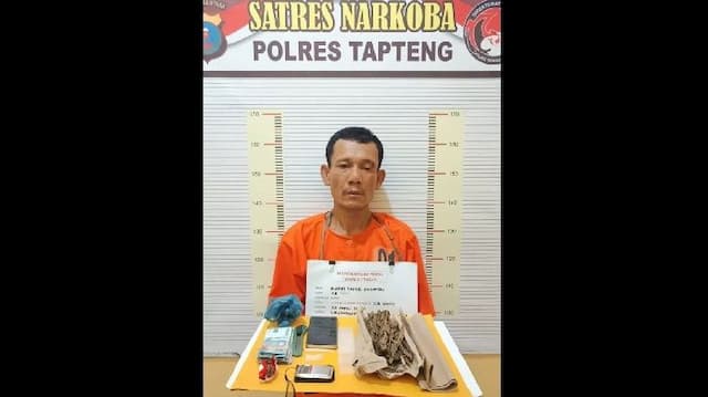 polisi_ringkus_pengedar_ganja_dan_sabu_di_tapteng_barang_bukti_disita_dari_rumah_tersangka