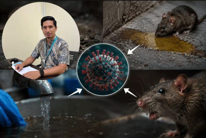 dokter_paru_ungkap_bahaya_hantavirus_bagi_sistem_pernapasan
