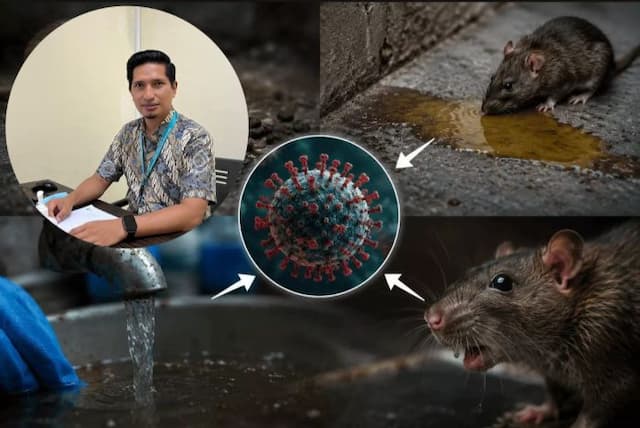 dokter_paru_ungkap_bahaya_hantavirus_bagi_sistem_pernapasan