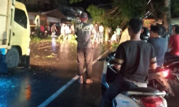 diterjang_hujan_dan_angin_kencang_pohon_tumbang_tutup_jalan_medanaceh_